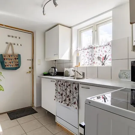 Mountain View Near Oslo: Bedroom, Lounge, Kitchen And Bathroom. Flat In Rykkinn Apartment