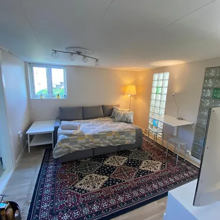 Apartment Mountain View Near Oslo: Bedroom, Lounge, Kitchen And Bathroom. Flat In Rykkinn *